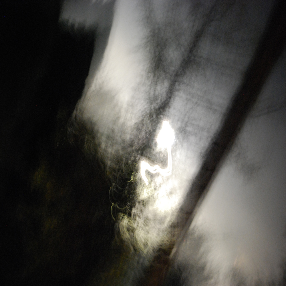 Nachts sind alle Katzen grau