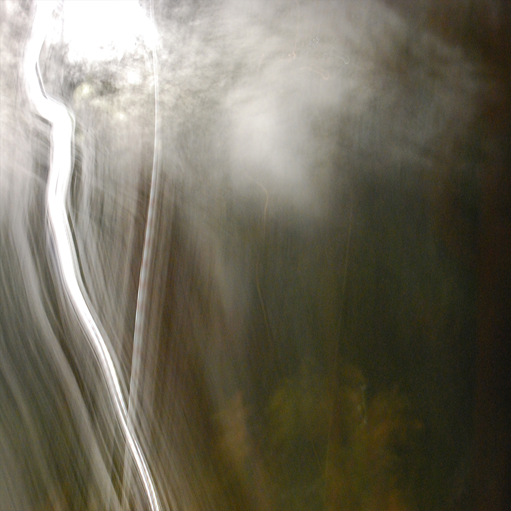 Nachts sind alle Katzen grau I