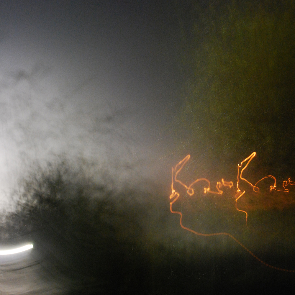 Nachts sind alle Katzen grau II