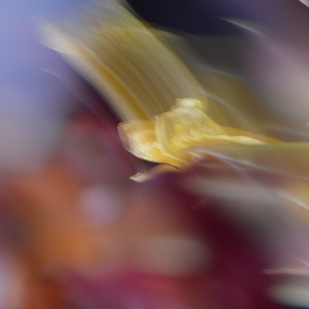 Zwischen den Welten VI